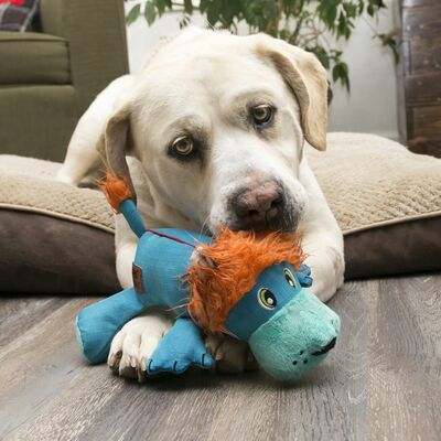 Kong Cozie Ultra Max Moose      (,  2)