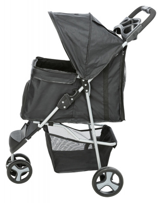 Trixie  Buggy  ,      11  (,  6)