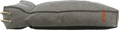 Trixie        BE NORDIC Fohr  ,  - (,  2)
