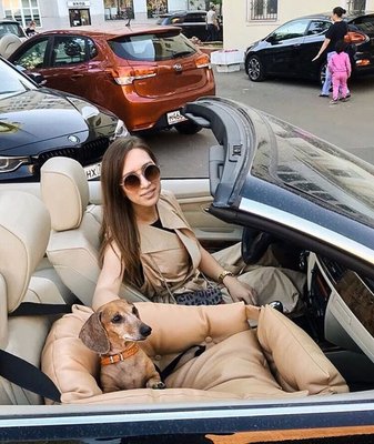 DogsCars Автокресло для перевозки собак в автомобиле, цвет красный, размер 50х50 см (фото, вид 4)