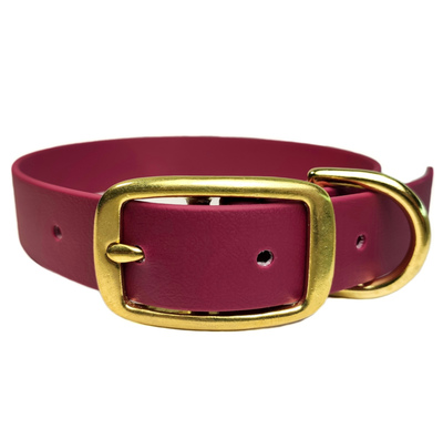 R-Dog    (Biothane USA),  ,   (,  1)