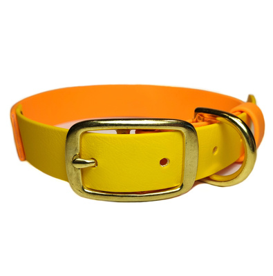 R-Dog    (Biothane USA),  ,     (,  3)