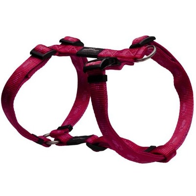 Rogz    Alpinist,   (,  1)