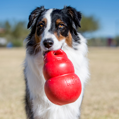 Kong Bounzer   ,  (,  2)