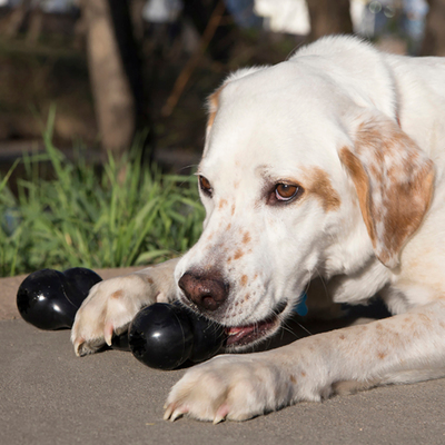 Kong Goodie Bone Extreme      (,  2)