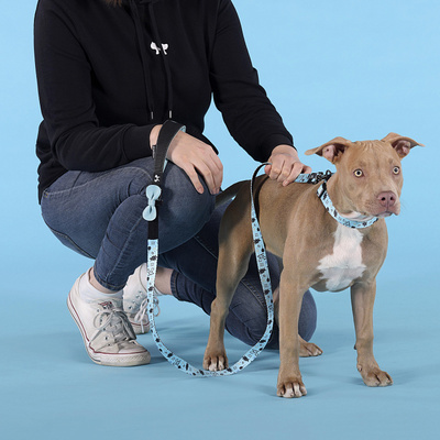  United Pets   Complete me Writing    (,  3)