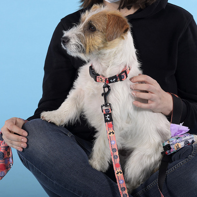  United Pets   Complete me Forever    (,  1)
