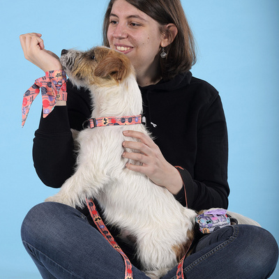  United Pets   Complete me Forever    (,  3)