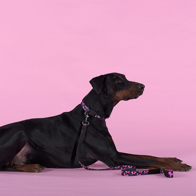  United Pets   Complete me Identity    (,  1)