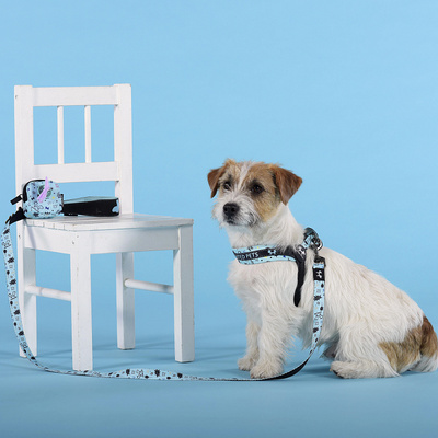  United Pets   Complete me Writing    (,  4)