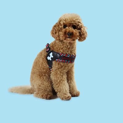  United Pets   Complete me   (,  2)