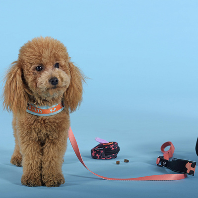  United Pets   Complete me    (,  2)
