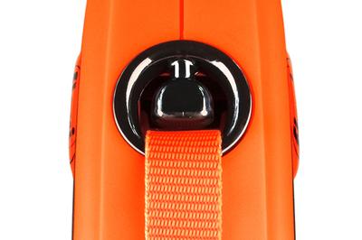 Flexi    Xtreme, 3     15 ,   (,  3)