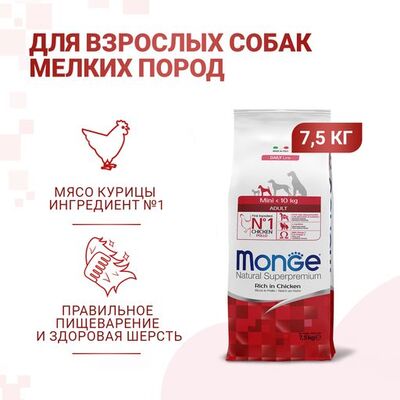 Monge Dog Mini          (,  6)