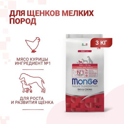 Monge Dog Mini          (,  7)