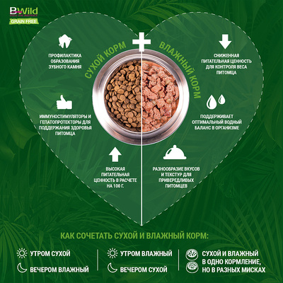 Monge Dog GRAIN FREE          (,  2)