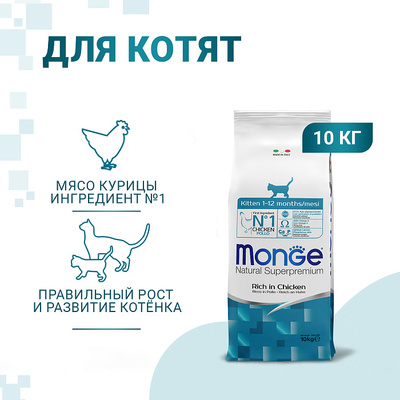 Monge Cat Kitten   ,   (,  9)