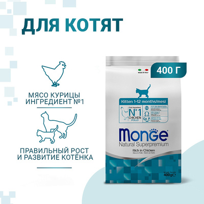 Monge Cat Kitten   ,   (,  10)