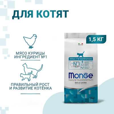 Monge Cat Kitten   ,   (,  11)