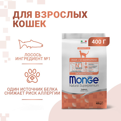 Monge Cat       (,  9)