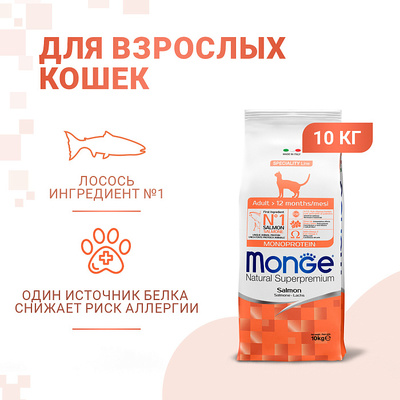 Monge Cat       (,  11)