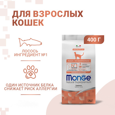Monge Cat       (,  13)