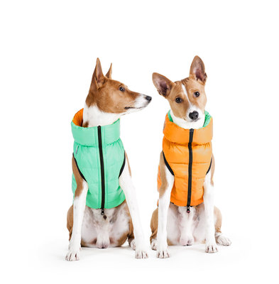 AiryVest Lumi      (Collar),  - (,  1)