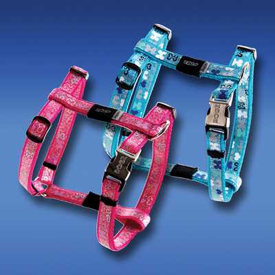 Rogz        Trendy,   (,  1)