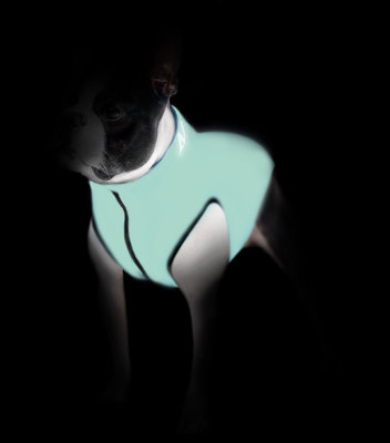 AiryVest Lumi      (Collar),  - (,  2)