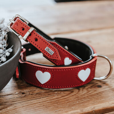 Hunter  Love,  ,     "" (,  14)
