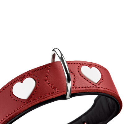 Hunter  Love,  ,     "" (,  16)