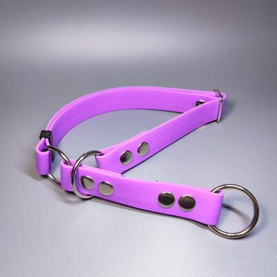 R-Dog      Lite,   (,  2)