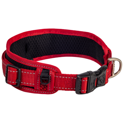 Rogz       Classic Collar Padded,   ()