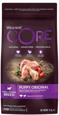 Core             ()