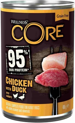 Core 95           ()