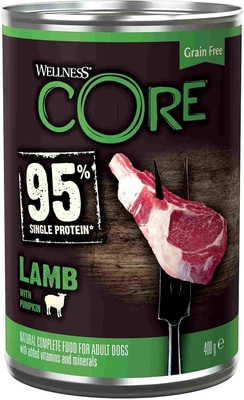 Core 95         ()