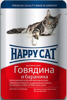 Happy Cat    -         