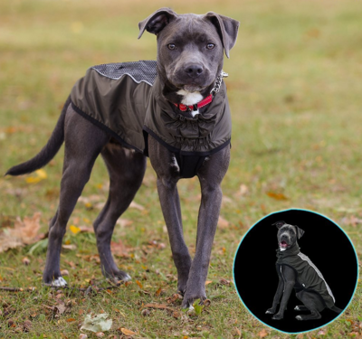 Dog Gone Smart светоотражающий дождевик Hexagon jacket, цвет оливковый (фото)