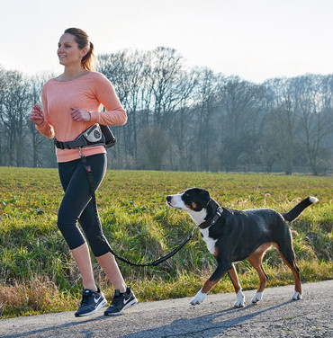 Hunter           Beltpouch with anti-jerk leash Jasper ()