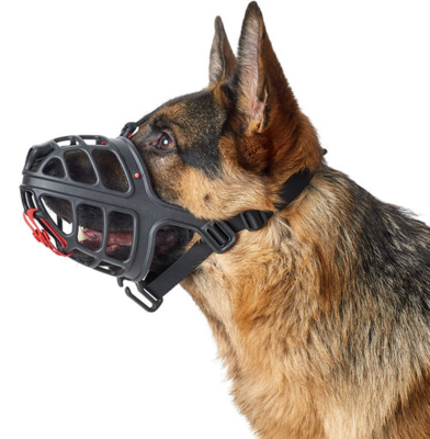 Hunter      Muzzle Albury ()