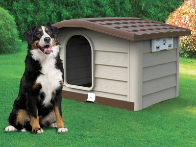 BAMA PET    BUNGALOW L, ,  ()