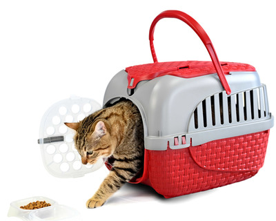 BAMA PET  KENNEL TOUR 523334h   7 ,  ()