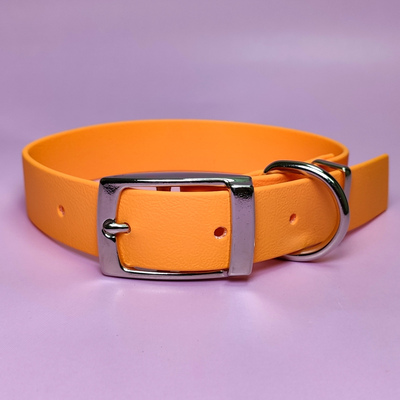 R-Dog    (Biothane USA),  ,   ()