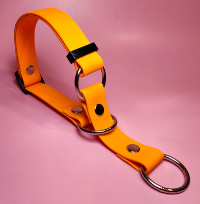R-Dog     (Biothane USA)   ,  