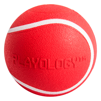 Playology    SQUEAKY CHEW BALL      ,  ()