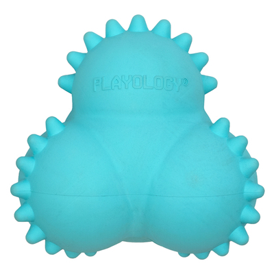 Playology        SQUEAKY BOUNCE BALL   ,  ()