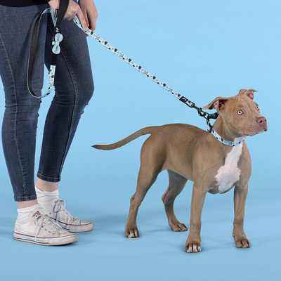  United Pets   Complete me Writing    ()