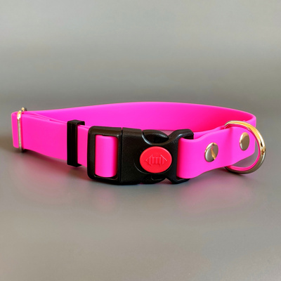 R-Dog     Lite,    ,   ()