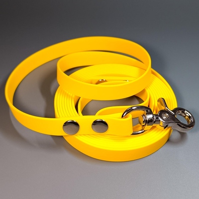 R-Dog     Lite,   "",   ()