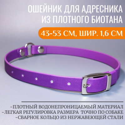 R-Dog      ,  , 43-53 ,  1,6  ()